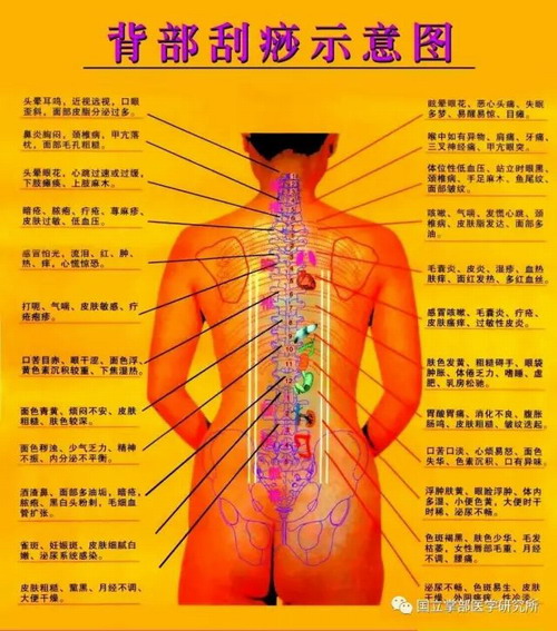 图片2.JPG